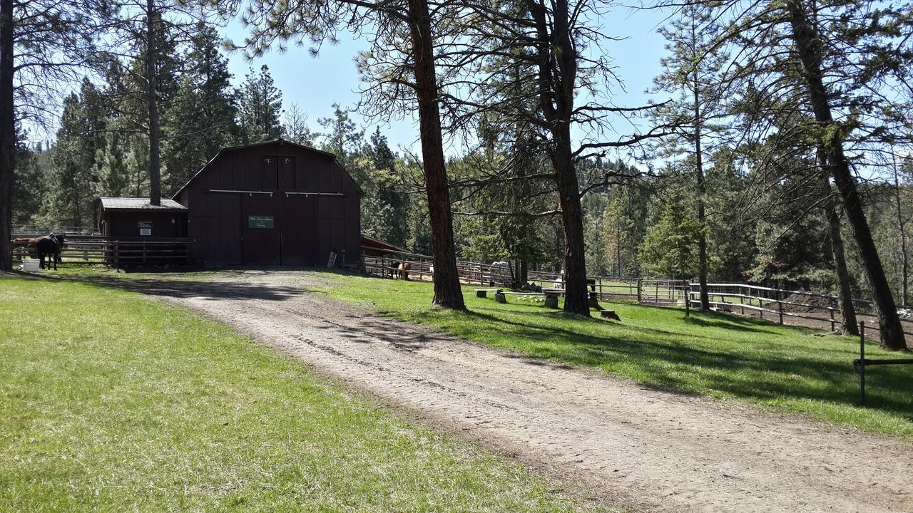 Bungalow (4 Adults),682179450:JPEG